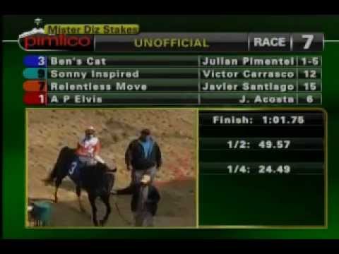 Pimlico 04/05/14 race 7 -  Mister Diz Stakes