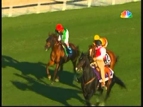 2012 Breeders' Cup Turf Mile - Wise Dan + Post Race