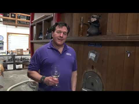 The Wine Zealot Tom DiNardo On The Importance of Winery Cellar Rats