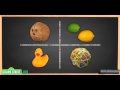 Sesame Street Science Sink Or Float START THE EXPERIMENT HERE