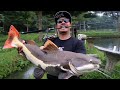 SUPER STRONG ROD 200 THOUSAND SOLID CARBON MIX FUJI SALTWATER REEL GO STRIKE EMERALD GLADIA