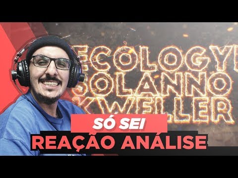 (Entre Linhas) Kweller, Solanno E Ecologyk - Só Sei [Reação/ Análise]