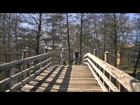 #1DDayMusicvideo Live While we´re Young