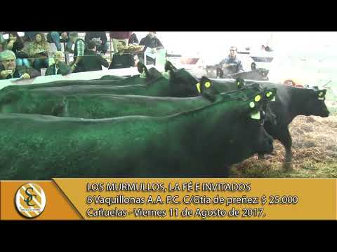 11-08-17 Venta Vaquillonas PC - Los Murmullos, La Fé e invitados - Cañuelas -