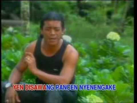 Didi Kempot - Ayu Adine | Dangdut (Official Music Video)