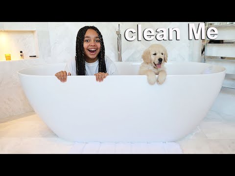 ¡MI CACHORRO GOLDEN RETRIEVER DE 8 SEMANAS YA RECIBE SU PRIMER BAÑO! 🐶