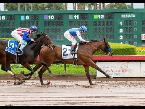 Starlet Stakes (G1)  2019