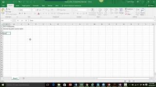 Entering Data into an Excel worksheet