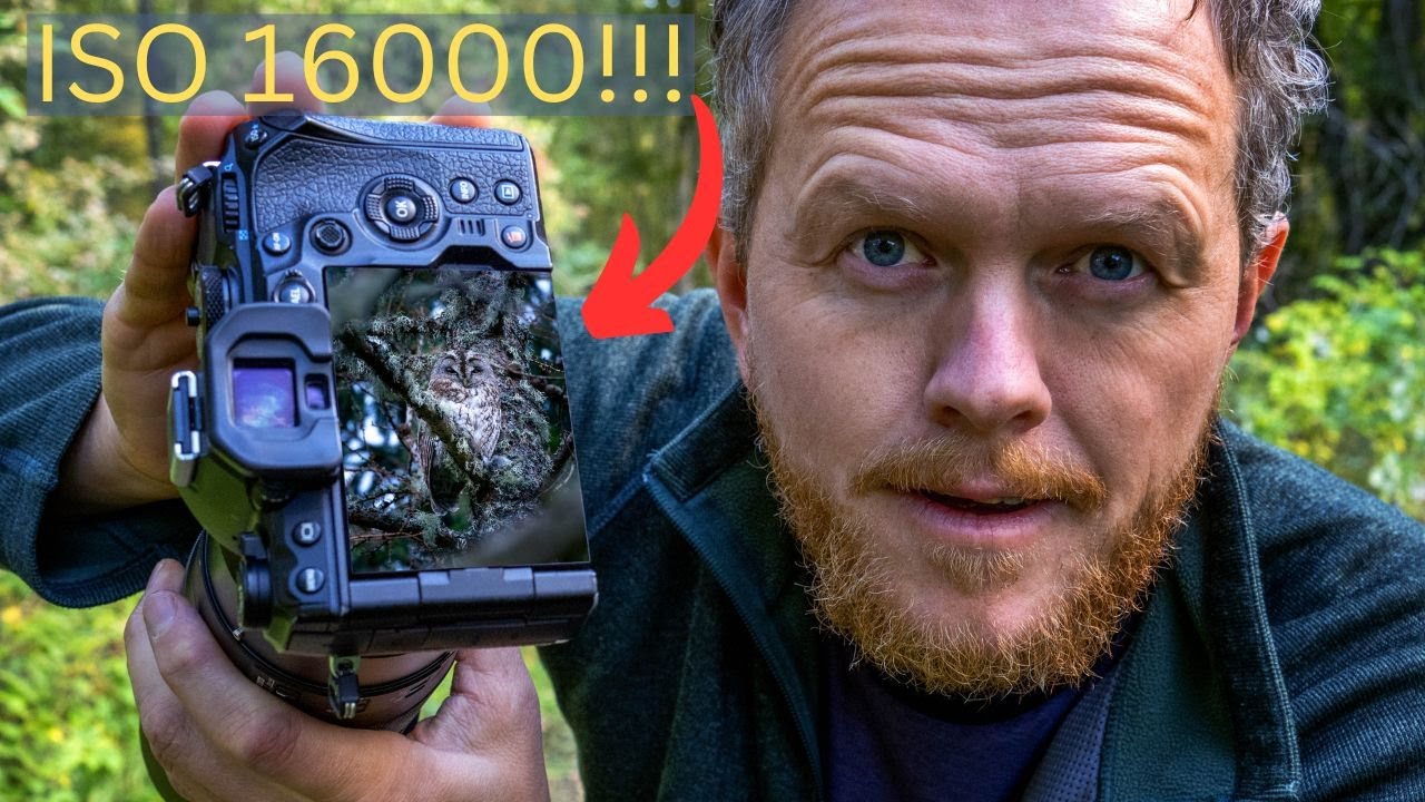 OM-1 High Resolution for Wildlife Photography - ISO 16000