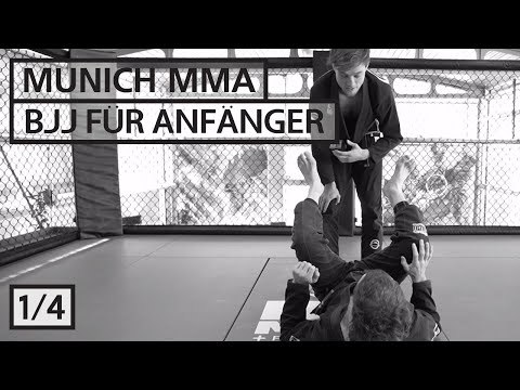 Introduction to BJJ 1: Basic concepts and positions