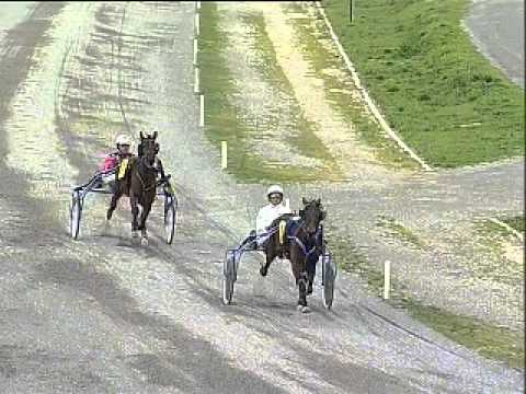 IPPODROMO DEI PINI - Prova di qualifica e riqualifica- Follonica 3 marzo 2014