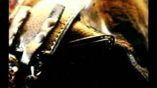 Loco Locass - Groove Grave