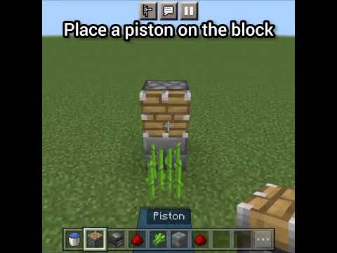 Insane Sugarcane Farm Hack! Minecraft PE 1.19