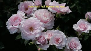 Edith Piaf : 21. Mon Homme (My Man)