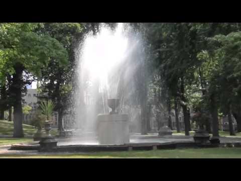 They Gave Their All For Freedom C1