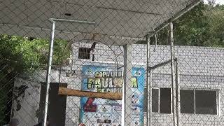 CAMPEONATO ESTADUAL FEBRAPS 2025 - 2a. ETAPA - SANTOS - SP - REG 2