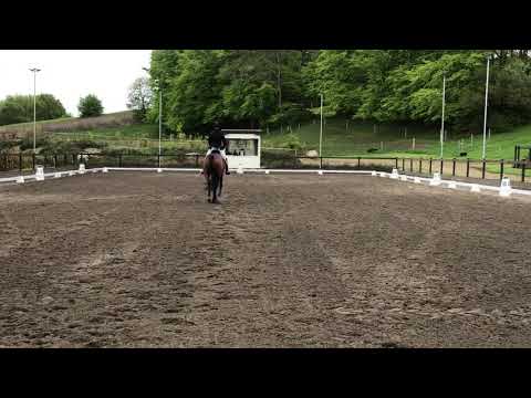 CCI2* B FEI Eventing Dressage - Kalundborg