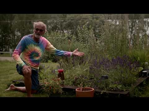 Peter Wilhelmssons Örtträdgård - Del 1 (Svenska)