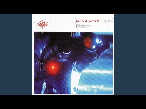 True Life (VNV Nation Remix)