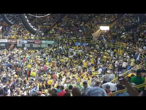 Capitanes de Arecibo 2018
