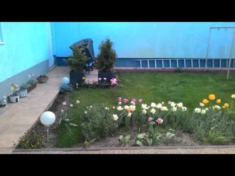 Jarne kvietky /tulipany, narcisy, sirotky, nezabudka,muskat,srdcovka,klincek