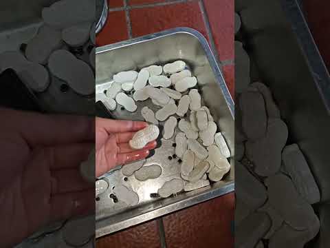 Do any of you mechanics know what these things in the fuel tank are for