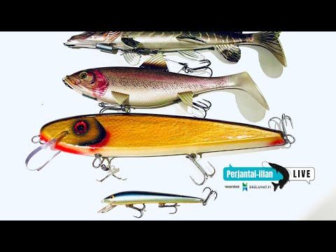 Perjantai-illan LivE: Jättivieheet - järkeä vai ei?