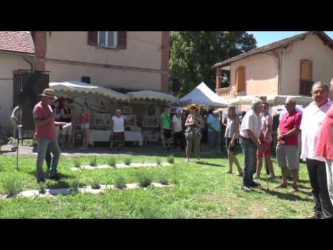 Verdon-info