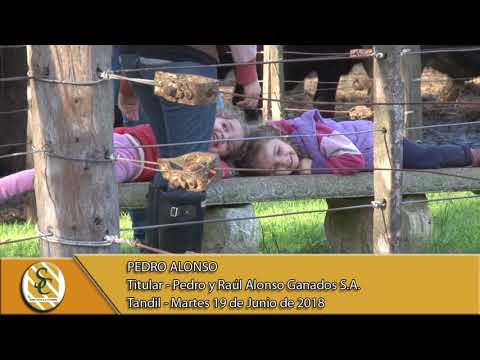 19-06-18 Nota Pedro Alonso - Titular - Pedro y Raul Alonso Ganados S.A. - Tandil