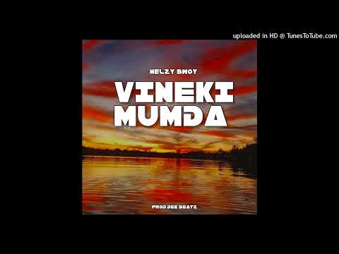 Nelzy Bwoy -VINEKI MUNDA (Audio) 2023