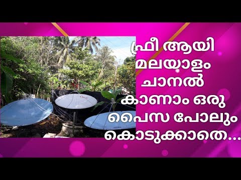 download lagu mp3 mp4 Free Malayalam Tv Channels, download lagu Free Malayalam Tv Channels gratis, unduh video klip Free Malayalam Tv Channels
