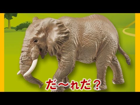 【公式】びーくるずー 「どうぶつのなまえをおぼえよう！」【トミカ・プラレール・アニア】