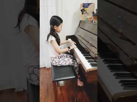 Menuet and trio - Joseph Haydn 2020