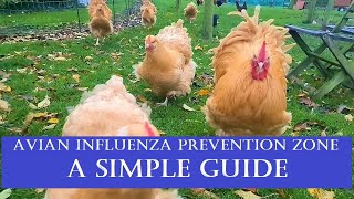 Avian Influenza Prevention Zone: A Simple Guide for 1 chicken to 499!