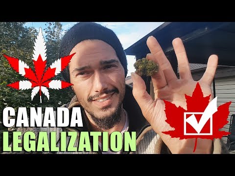 5 Things To Know About Legalization of Weed in Canada 🌿 Cannabis Legal Video