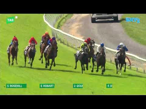 2000 Guineas NZ 2024 - SAVAGLEE (3YO SW G1) Group 1 Riccarton Park NZ 9 November