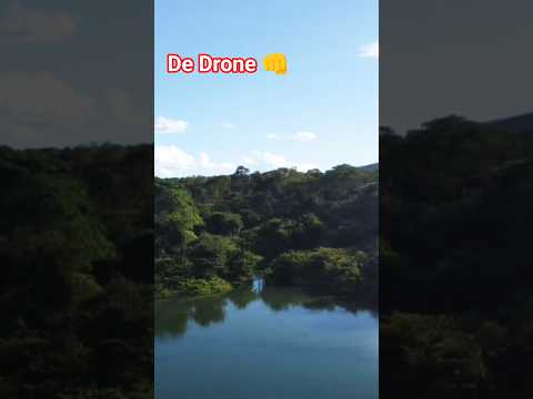 MUITA NATUREZA EM VOLTA DA LAGOA NO TOCANTINS #lagoa #shortvideo #shorts #natureza #vlog #travel