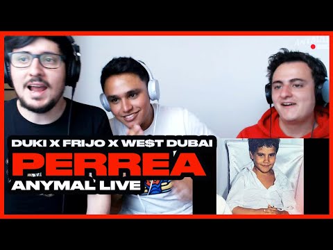 [Reacción] PERREA - Duki x Frijo x We$t Dubai (Prod. Negro Dub) - ANYMAL LIVE 🔴
