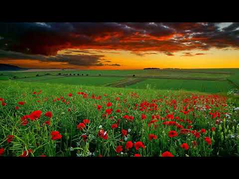 Charles M. Schulz 3 Best Inspirational Cites