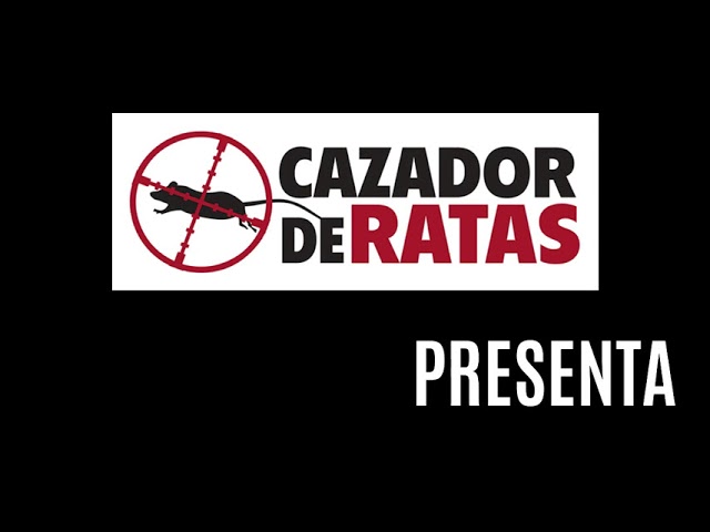 Vídeo relacionado con Alicia