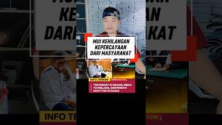 Download lagu What will the MUI's stance be after this? mp3 Download lagu What will the MUI's stance be after this? mp3
