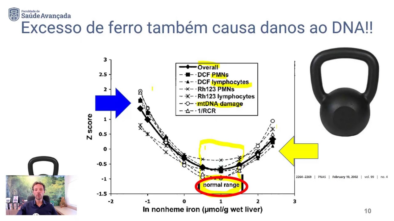 Por que a ferritina é tão importante??
