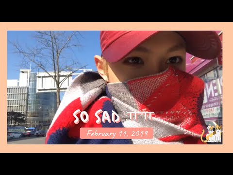 [Older Stray Kids Live] 190211 So sad ㅠㅠ