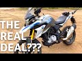 BMW GS 310 Review / Is it a real GS?