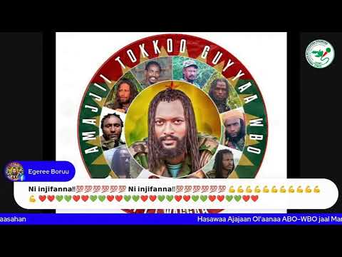 Qophii Addaa ONM-ABO Amajjii 1-2026 itti dhiyaadhaa!