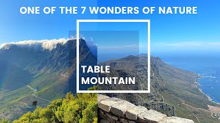 TABLE MOUNTAIN | what we found at the top is absolutely shocking!