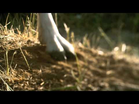 VivaCell-MTS supports the Armenian Agriculture 02