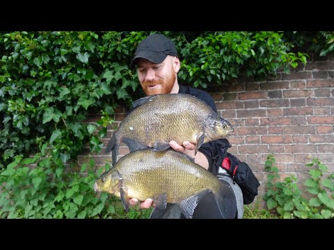 Catch BIGGER Canal Fish With This Simple Method!