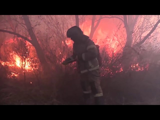 Роспотребнадзор: воздух в задымленных городах – чистый