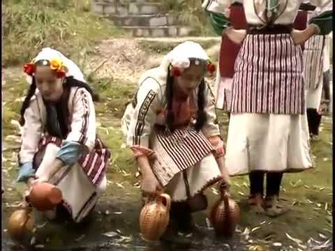 КУД ,,ДРИМКОЛ“- ВЕВЧАНИ ,,Водарки“